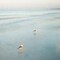 Two Birds on Beach Poster Print by John Juracek - Item # VARPDXJ315D